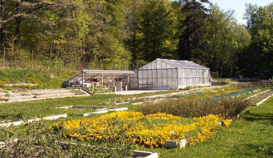 Conservatoire Botanique National Alpin - CBNA, Gap, France, France